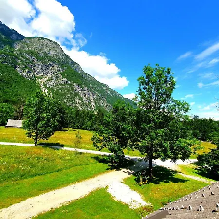 Star Apartment Bohinj