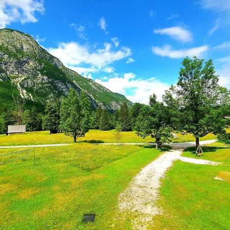 Star Bohinj