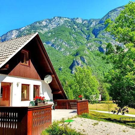 Star Apartment Bohinj
