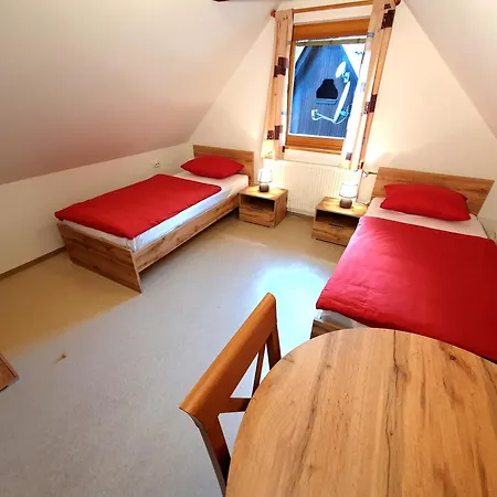 Star Bohinj