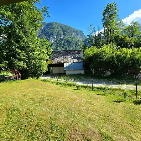 Star Bohinj