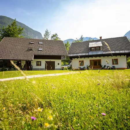Star Bohinj